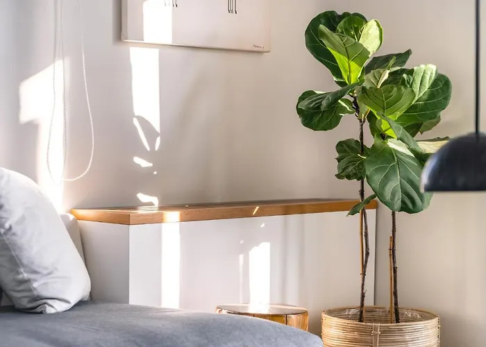 Olivia Mykonos Agios Stefanos (Mykonos)